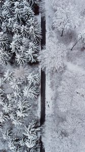 Preview wallpaper forest, trees, road, snow, winter, aerial view