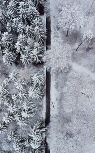 Preview wallpaper forest, trees, road, snow, winter, aerial view