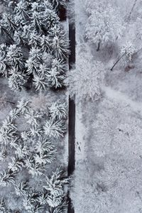 Preview wallpaper forest, trees, road, snow, winter, aerial view