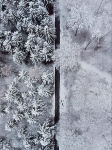 Preview wallpaper forest, trees, road, snow, winter, aerial view