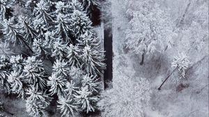Preview wallpaper forest, trees, road, snow, winter, aerial view