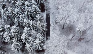 Preview wallpaper forest, trees, road, snow, winter, aerial view