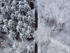 Preview wallpaper forest, trees, road, snow, winter, aerial view