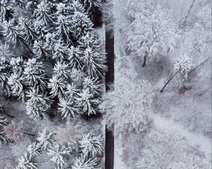 Preview wallpaper forest, trees, road, snow, winter, aerial view