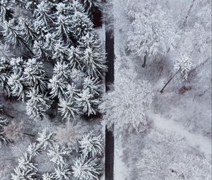 Preview wallpaper forest, trees, road, snow, winter, aerial view