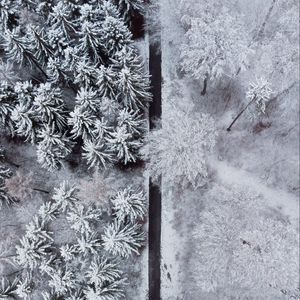 Preview wallpaper forest, trees, road, snow, winter, aerial view