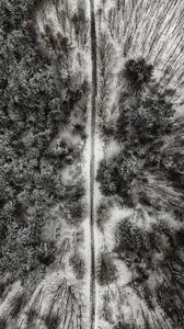 Preview wallpaper forest, trees, road, aerial view, snow, winter
