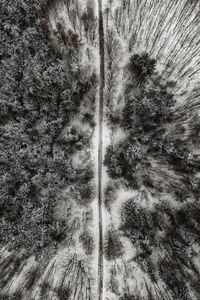 Preview wallpaper forest, trees, road, aerial view, snow, winter