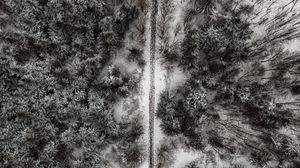 Preview wallpaper forest, trees, road, aerial view, snow, winter