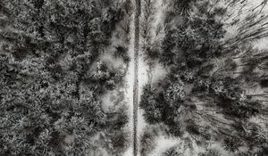 Preview wallpaper forest, trees, road, aerial view, snow, winter
