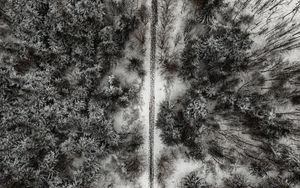 Preview wallpaper forest, trees, road, aerial view, snow, winter