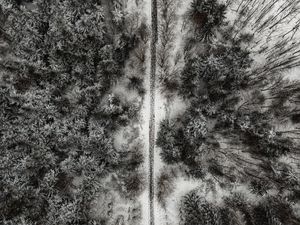 Preview wallpaper forest, trees, road, aerial view, snow, winter