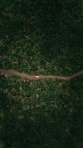 Preview wallpaper forest, trees, road, cars, aerial view