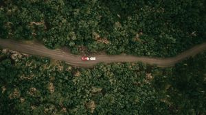Preview wallpaper forest, trees, road, cars, aerial view