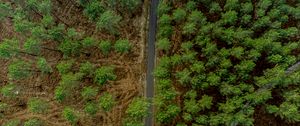 Preview wallpaper forest, trees, road, aerial view, nature