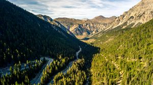 Preview wallpaper forest, trees, road, mountains, aerial view