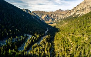 Preview wallpaper forest, trees, road, mountains, aerial view