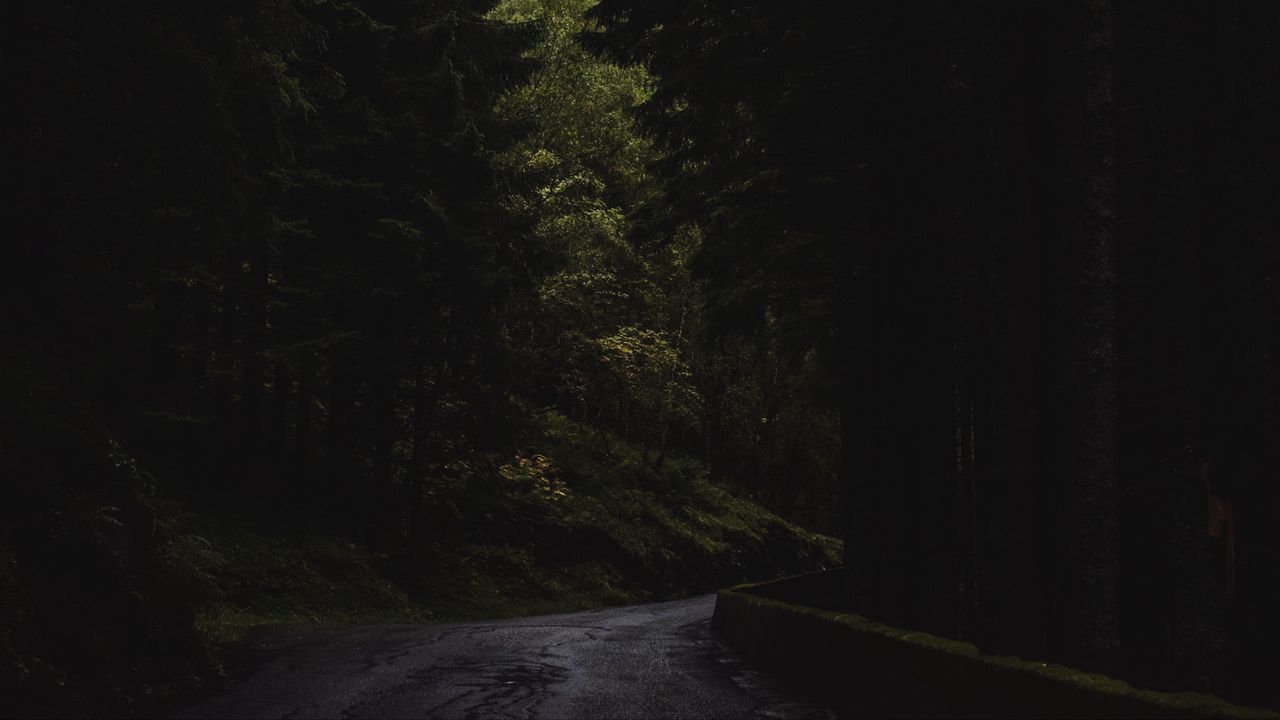 Wallpaper forest, trees, road, turn, nature, dark