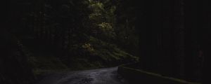 Preview wallpaper forest, trees, road, turn, nature, dark