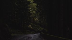 Preview wallpaper forest, trees, road, turn, nature, dark