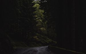 Preview wallpaper forest, trees, road, turn, nature, dark