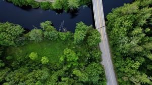 Preview wallpaper forest, trees, road, aerial view