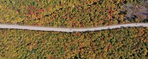 Preview wallpaper forest, trees, road, car, autumn, aerial view