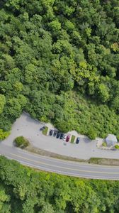 Preview wallpaper forest, trees, road, parking, cars, aerial view