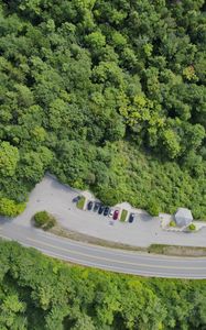 Preview wallpaper forest, trees, road, parking, cars, aerial view