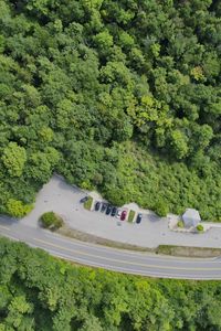 Preview wallpaper forest, trees, road, parking, cars, aerial view