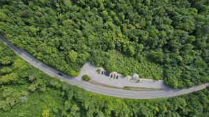 Preview wallpaper forest, trees, road, parking, cars, aerial view