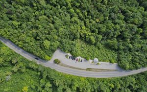 Preview wallpaper forest, trees, road, parking, cars, aerial view
