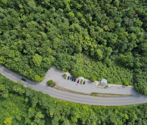 Preview wallpaper forest, trees, road, parking, cars, aerial view