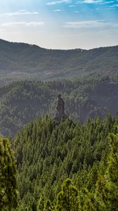 Preview wallpaper forest, trees, rock, landscape, nature, green