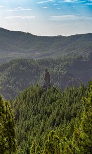 Preview wallpaper forest, trees, rock, landscape, nature, green