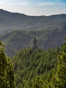 Preview wallpaper forest, trees, rock, landscape, nature, green