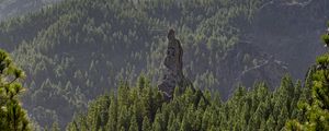 Preview wallpaper forest, trees, rock, landscape, nature, green