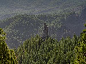 Preview wallpaper forest, trees, rock, landscape, nature, green