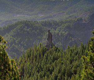 Preview wallpaper forest, trees, rock, landscape, nature, green