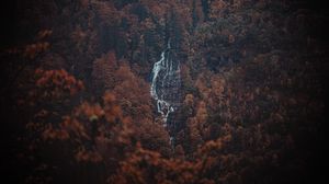 Preview wallpaper forest, trees, rock, waterfall, landscape