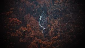 Preview wallpaper forest, trees, rock, waterfall, landscape