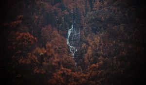 Preview wallpaper forest, trees, rock, waterfall, landscape