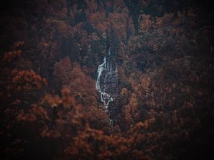 Preview wallpaper forest, trees, rock, waterfall, landscape