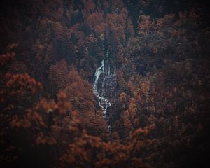 Preview wallpaper forest, trees, rock, waterfall, landscape