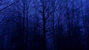 Preview wallpaper forest, trees, silhouettes, blue, dark