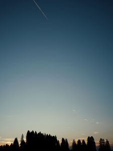 Preview wallpaper forest, trees, silhouettes, sky, evening