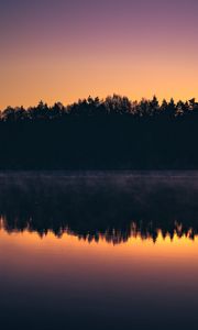 Preview wallpaper forest, trees, silhouettes, lake, reflection, sunset, dark