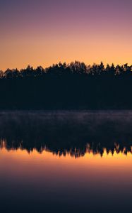 Preview wallpaper forest, trees, silhouettes, lake, reflection, sunset, dark