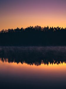 Preview wallpaper forest, trees, silhouettes, lake, reflection, sunset, dark