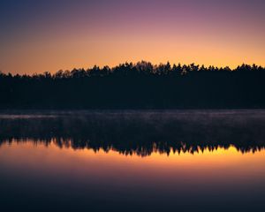 Preview wallpaper forest, trees, silhouettes, lake, reflection, sunset, dark